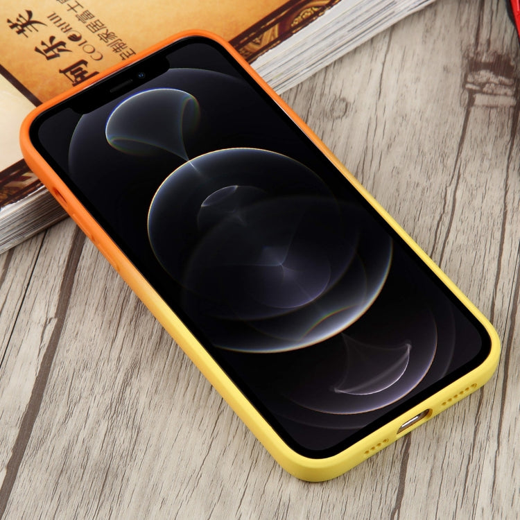 EDA004193309C_2.jpg@d7465da98958294d62e319c493866416