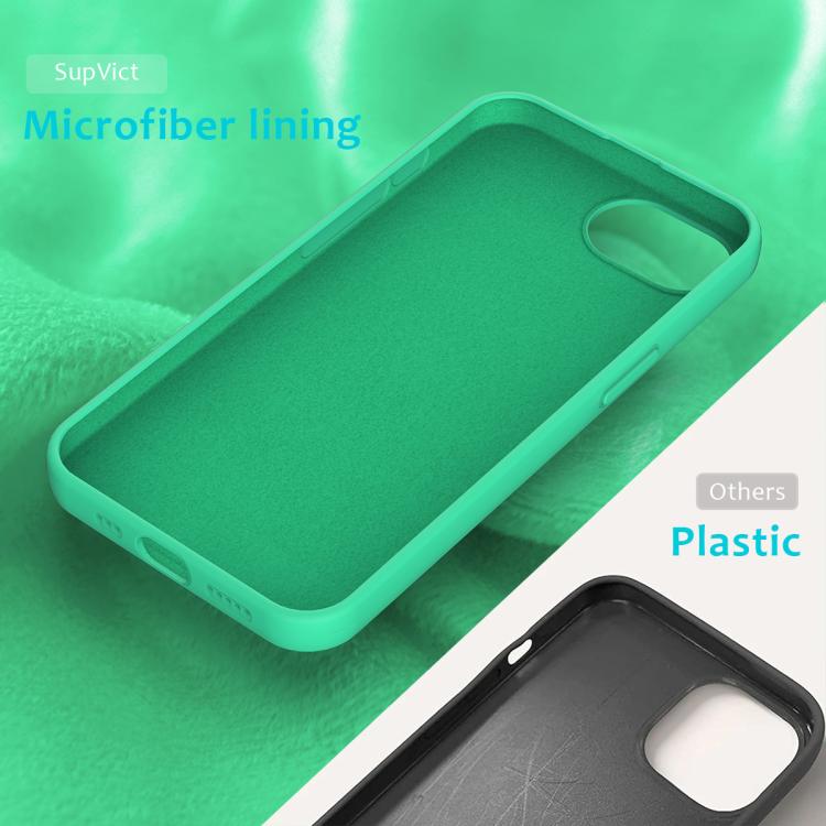 For iPhone 16e Solid Color Silicone Phone Case(Green) by bashfashion