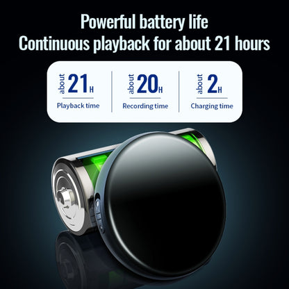 EDA005123401_5.jpg@a0b00c22aeff96c7e877386d4dc31909