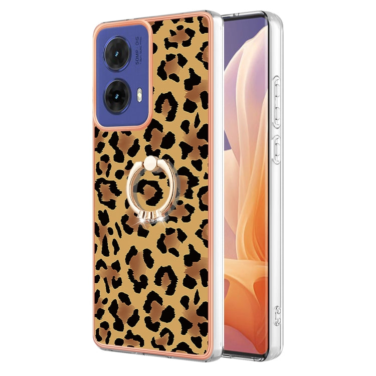 EDA005214711B.jpg@e64fa43b326348d909d4f48be393b02b