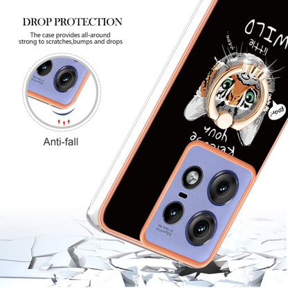 EDA005214713E_3.jpg@e38bdb10e7e2eab6fbdf5040a2c39823