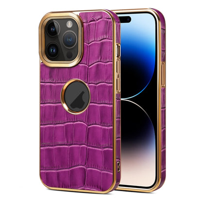 For iPhone 15 Pro Max Denior Crocodile Texture Genuine Leather Electroplating Phone Case(Purple) by Denior