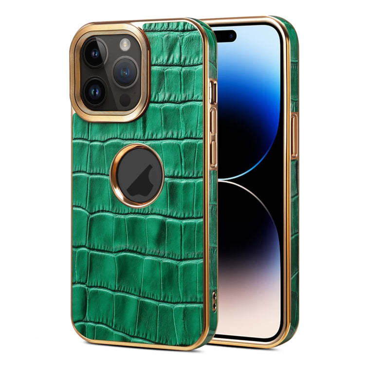 For iPhone 15 Pro Max Denior Crocodile Texture Genuine Leather Electroplating Phone Case(Green) by Denior