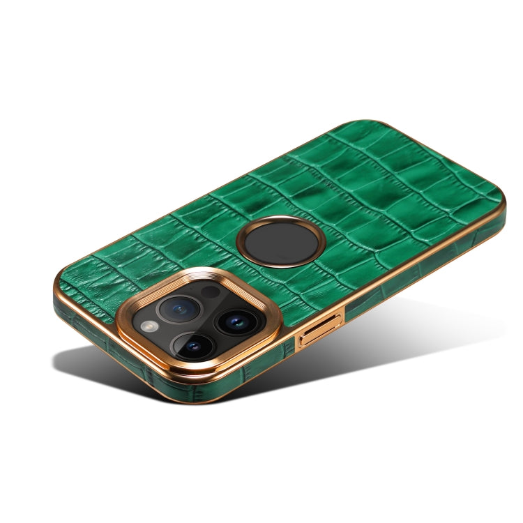 For iPhone 15 Pro Max Denior Crocodile Texture Genuine Leather Electroplating Phone Case(Green) by Denior