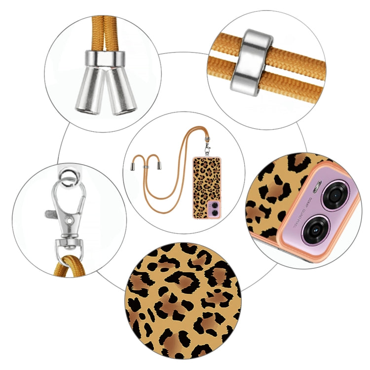 EDA005383609B_3.jpg@736441cc4529fea9d9568ea821907653