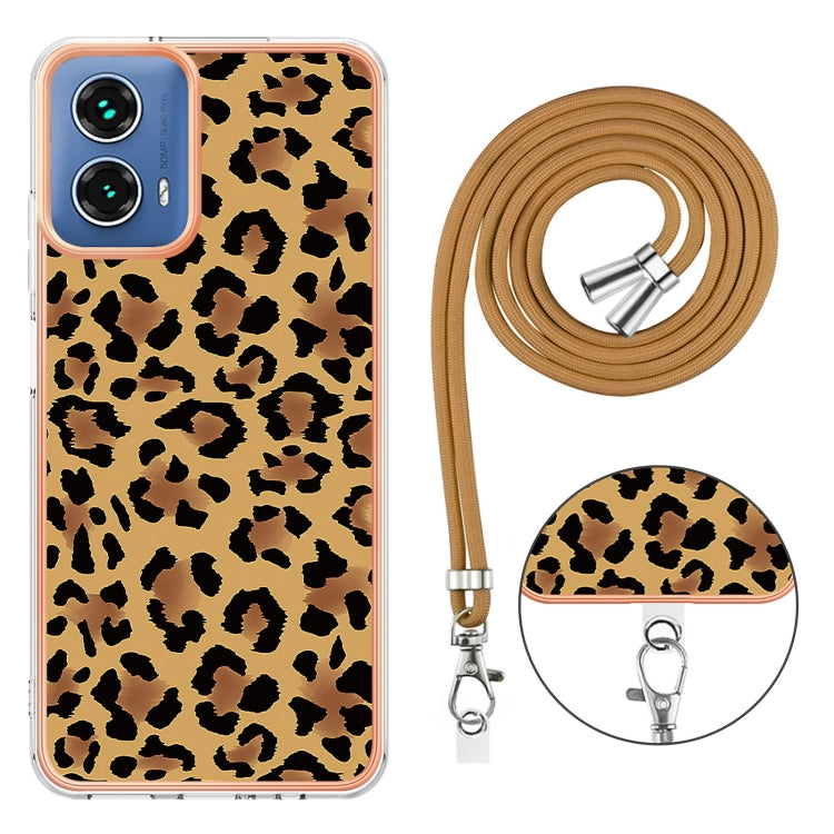 EDA005383610B_2.jpg@bc5a4d05ad531ae7d36abf11e54e0076