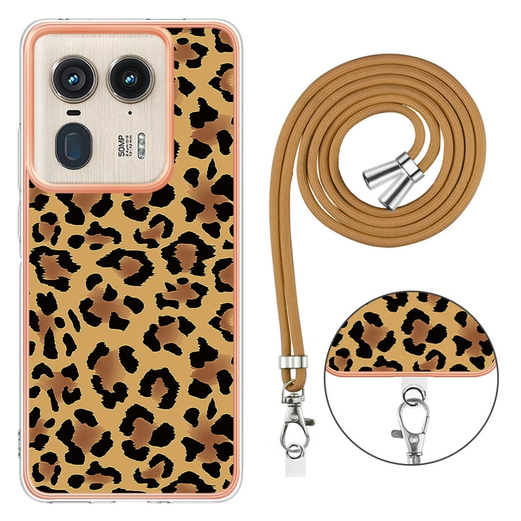 EDA005383612B_3.jpg@8ed7b5d6175ae23b2e63fea13f364fe0