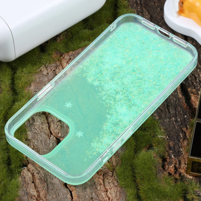 For iPhone 15 Pro Max DFANS DESIGN Snowflake Starlight Shining Phone Case(Green) by DFANS DESIGN