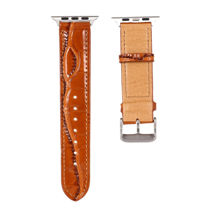 For Apple Watch Series 7 45mm / 6 & SE & 5 & 4 44mm / 3 & 2 & 1 42mm Crocodile Texture Leather Wrist Strap(Brown) by bashfashion