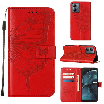 EDA005821402G.jpg@b7025aa959ee2a5e8c9e81e55d769904