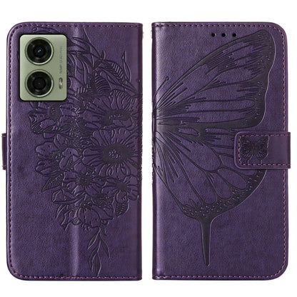 EDA005821410F_2.jpg@ab47ada5e24bb28824d5d411faae8f78