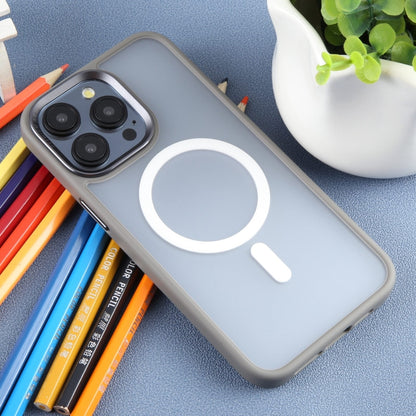 For iPhone 15 Pro Max DFANS DESIGN Magsafe Magnetic Phone Case(Grey) by DFANS DESIGN