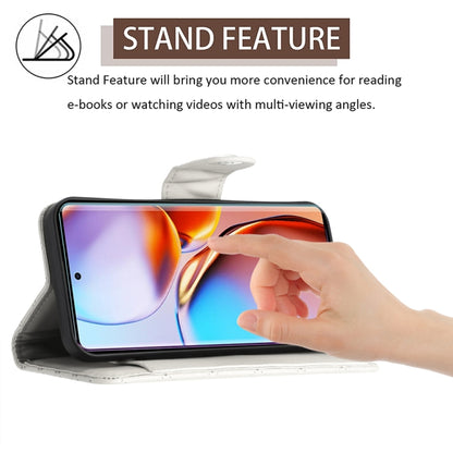 EDA006212402D_2.jpg@d2e9e8daeef4bfd88137f00087887b9c