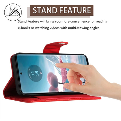 EDA006212403A_2.jpg@1241f2a4c164c842289d4e08e0b53371