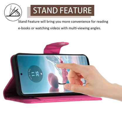 EDA006212403C_2.jpg@532ee6297b8ede04093ef57617065d80