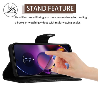 EDA006212416B_2.jpg@d97970800f2fe7be1f2f5523b7fcc319