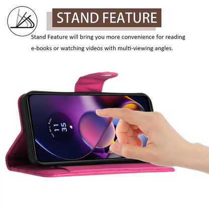 EDA006212416C_2.jpg@7ef64c415c5ab76a66adc3623f985fd4