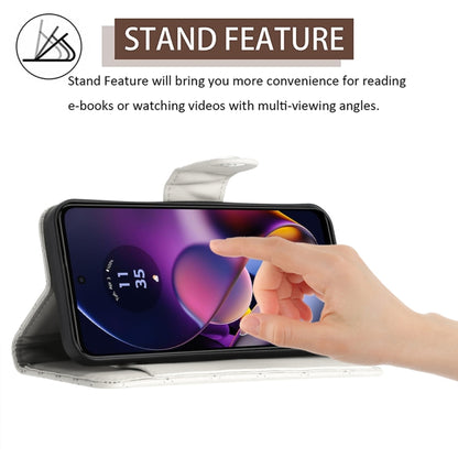 EDA006212416D_2.jpg@5e45f534c610439bd946c6b55ef78079