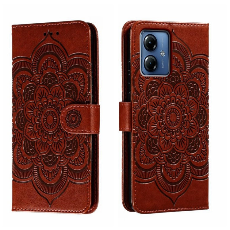 EDA006312110D.jpg@67d9f73575317315ea40e816ba3a2ff1