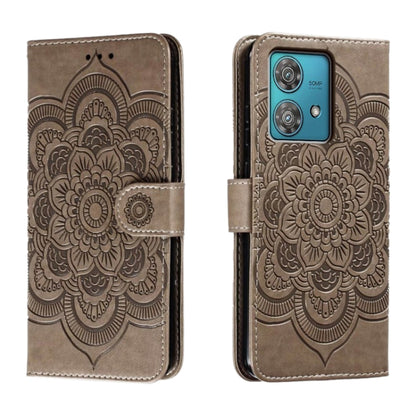 EDA006312119B.jpg@f1a9b0425a8f8851864c722aa860f4d9