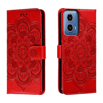 EDA006312125A.jpg@a4e1fa70a5a3af7accfb5128a0067f8b