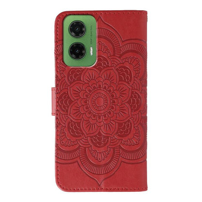 EDA006312128A_2.jpg@450db0e88e9414b181409efeb59f9556