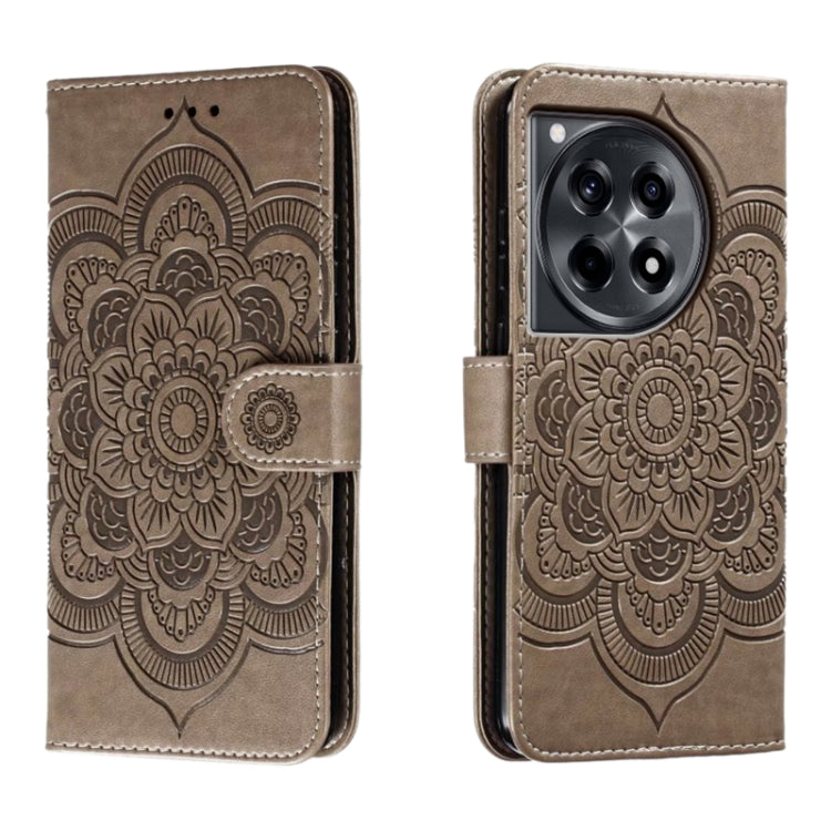 EDA006313512B.jpg@45fb653dd80ebfc4fe653bb7e80d13f7