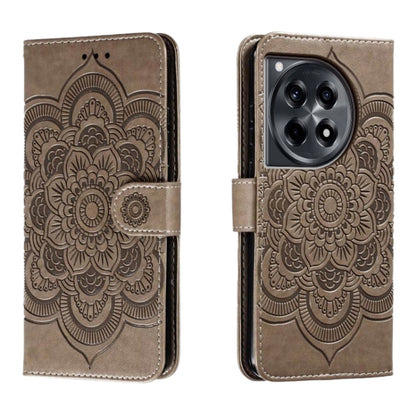 EDA006313512B.jpg@45fb653dd80ebfc4fe653bb7e80d13f7