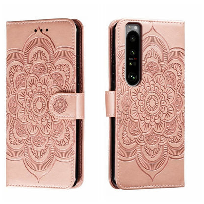 EDA006313801E.jpg@23b88bedc0493f6e10da5246465b8c51