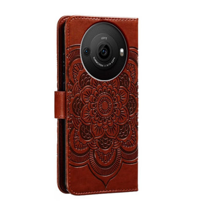 EDA006313904D_2.jpg@42c338e3687428d18324c61d1dafe490