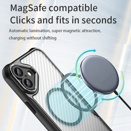 EDA006491716A_4.jpg@891a7146afe716b3d80ce4ed38bc0b7c