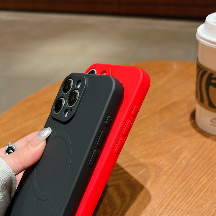 For iPhone 16e Solid Color Liquid Silicone MagSafe Magnetic Phone Case(Grey) by bashfashion