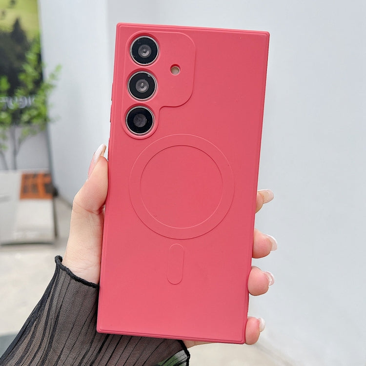 EDA007014904F.jpg@ec3df731c3a3156655379b466480849a