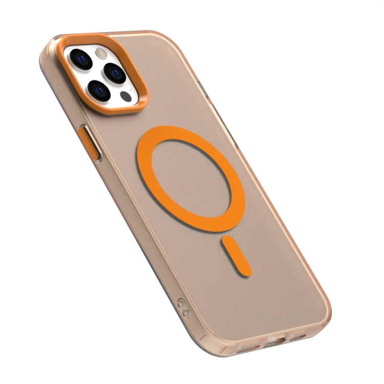 EDA007087717B_5.jpg@8a421324f769564eb5e008d3641ed90b