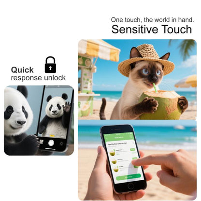 EDA007139306_3.jpg@c4c37ea0eb7a1f62c4f9bf1885243402