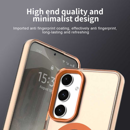 EDA007184811B_6.jpg@9ec87b8d1476796427f56cf0d6f87c8c