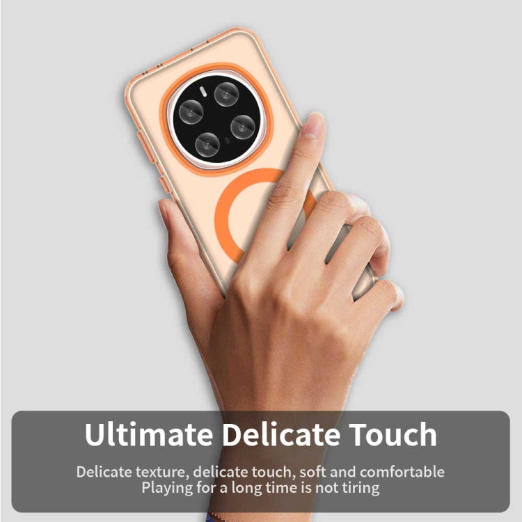 EDA007261702B_4.jpg@3b46010746941fc38bdd86dcc9f05f2c