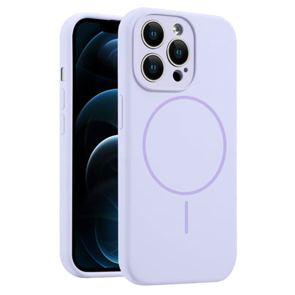 EDA007286303C.jpg@7bb4c5defdf9313c756ee4a4c0a55853