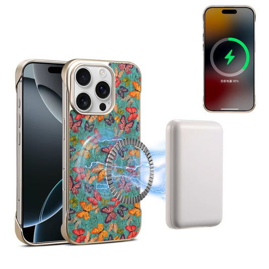 For iPhone 16 Pro Denior A18 Paint MagSafe Phone Case(Butterflies) by Denior