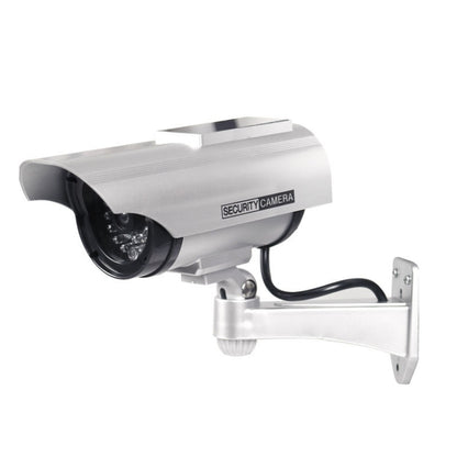 Solar Simulation Camera Model(Silver) by bashfashion