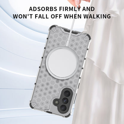 EDA007499302A_3.jpg@1264f9571bd1f5eaadc165ba9befe116