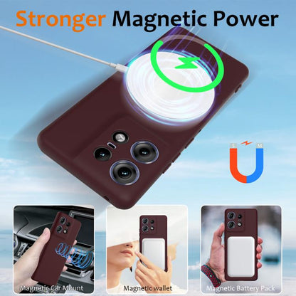 EDA007509403C_2.jpg@ad9dd53d1c1c6752b96759a1d8037177