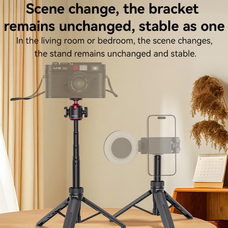 EDA007666601A_10.jpg@2cebc3508f69d02c7e42009d66097a2c