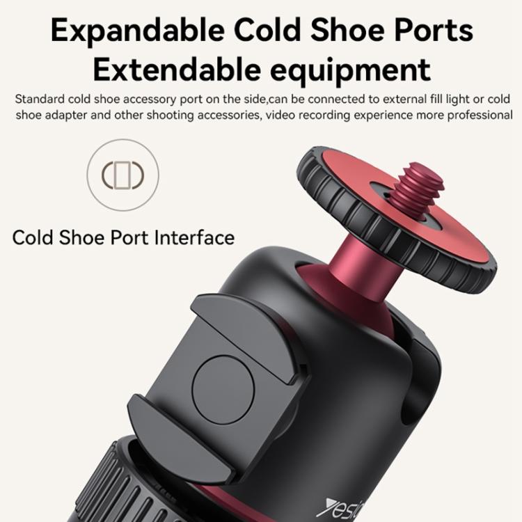 EDA007666601A_8.jpg@7e0bf83a2cfcb4225188cef1215a180f