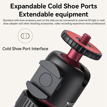 EDA007666601A_8.jpg@7e0bf83a2cfcb4225188cef1215a180f