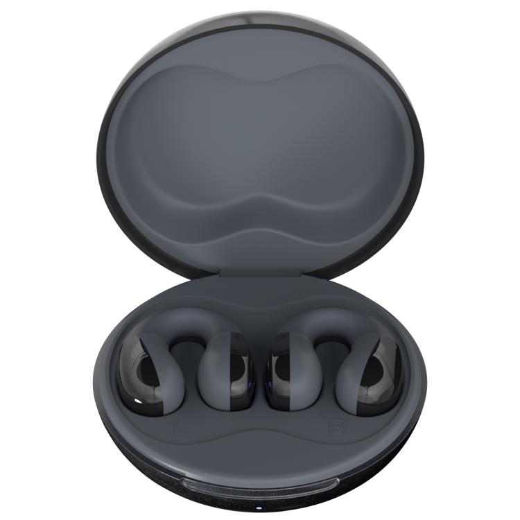F13 Ear-Hook Noise Reduction 13mm Moving Coil HIFI BT 5.4 Wireless Earphones(Black) by bashfashion