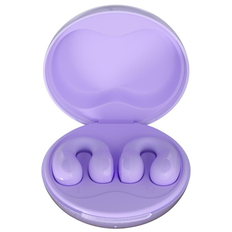 F13 Ear-Hook Noise Reduction 13mm Moving Coil HIFI BT 5.4 Wireless Earphones(Purple) by bashfashion