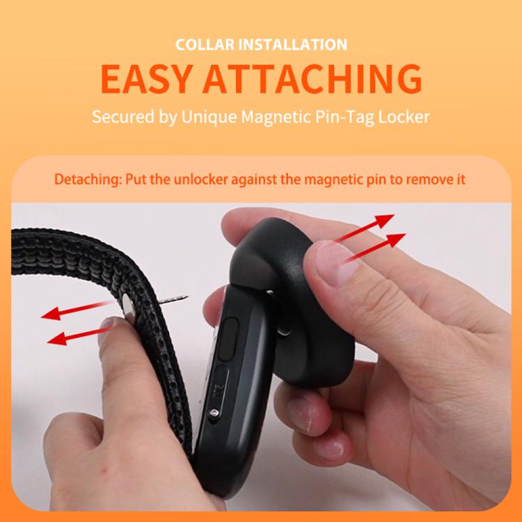 EDA007886401A_10.jpg@50cf40fb722a5fd7c821536e7cb0c489