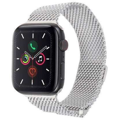 For Apple Watch 46mm / 49mm / 45mm / 44mm Double-section Magnetic Milanese Titanium Watch Band(Silver) by bashfashion