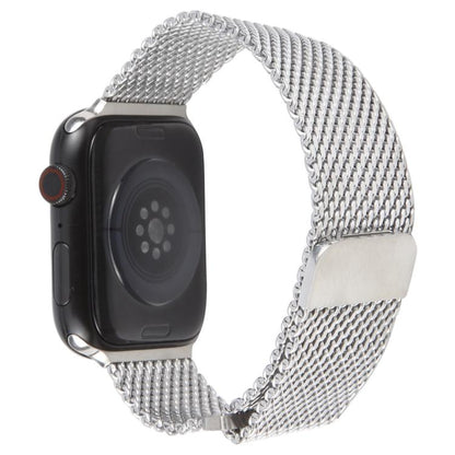 For Apple Watch 46mm / 49mm / 45mm / 44mm Double-section Magnetic Milanese Titanium Watch Band(Silver) by bashfashion
